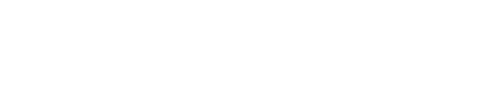 electrik-footer-logo